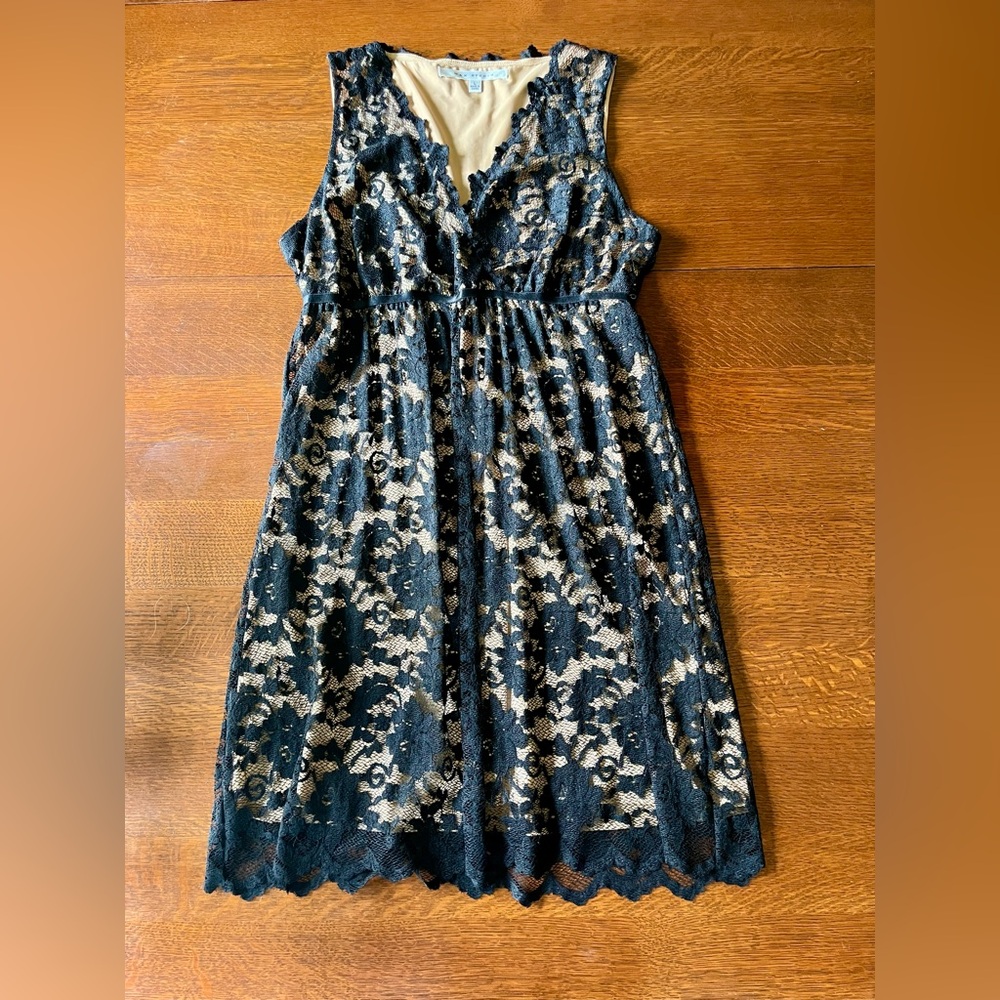 Max Studio Black Lace and Tan Dress